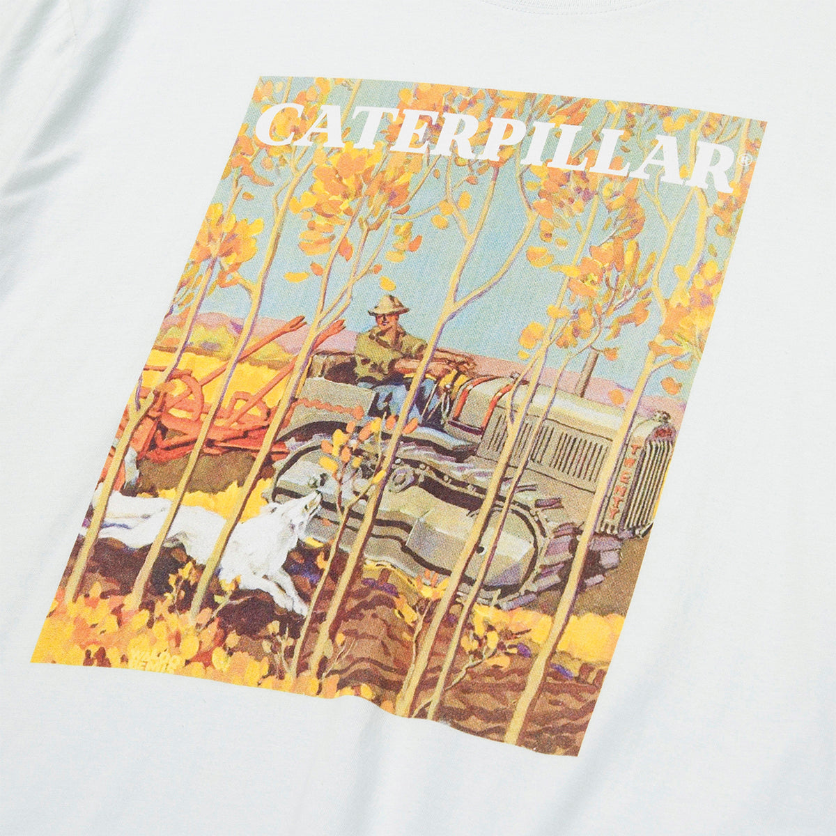 Camiseta Boxy Heavyweight