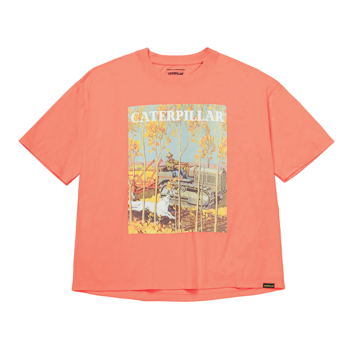 Camiseta Boxy Heavyweight