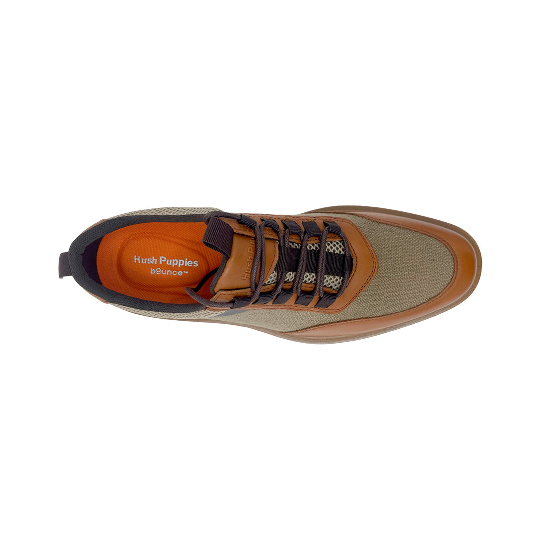 Casuales Oxford Scott para hombre color multi