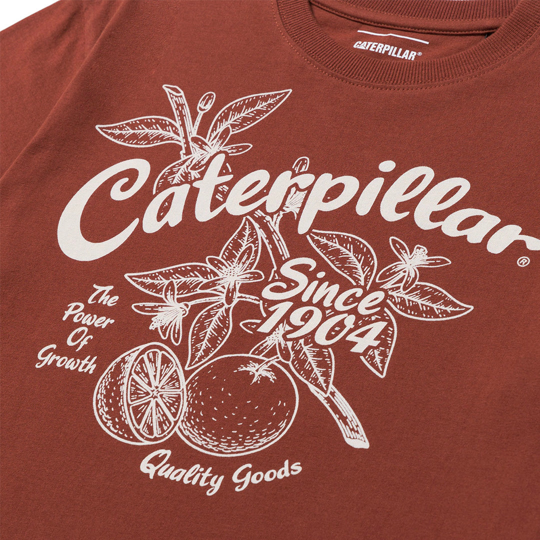 Camiseta Rib Collar para mujer color café